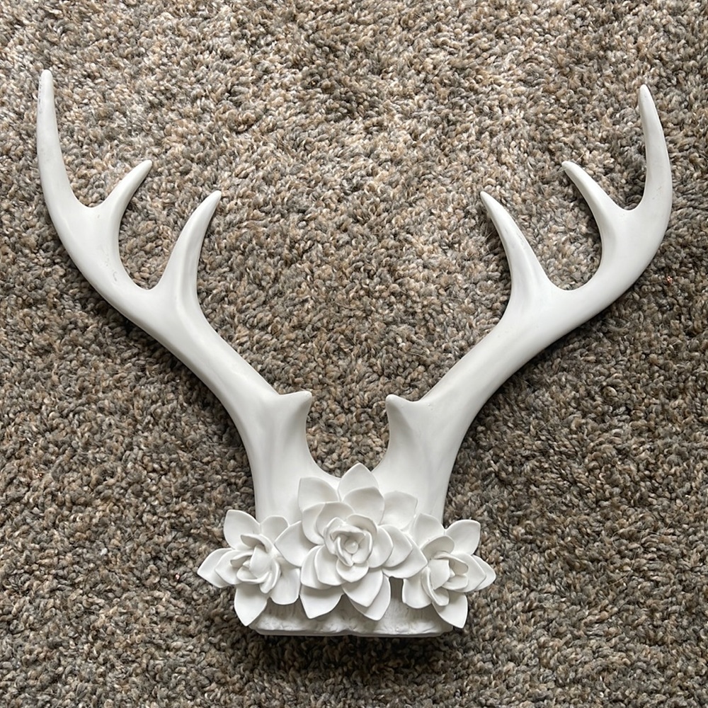 Antler wall decor